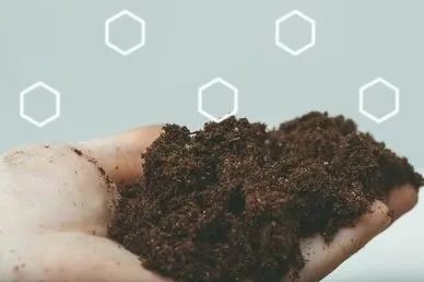 Composición del Suelo